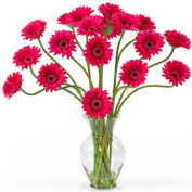 Nearly Natural Gerber Daisy Liquid Illusion Silk Flower Arrangement, Beauty