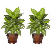 Nearly Natural Dieffenbachia with Wood Vase Silk Plant (Set of 2), Variegated