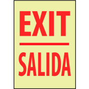 Glow Sign Rigid Plastic - Exit/Salida Bilingual