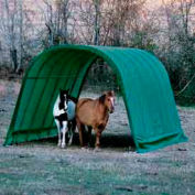 Equine Shelter 12' x 24' x 10'