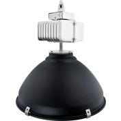 Neptun 19250-AL-UNV 250W 22" Aluminum Induction High Bay with flat Glass Lens