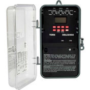 NSI TORK® DGLC200A-NC Astro Digital w/Photo 2CH 20A 120-277V Lighting Control Time Switch
