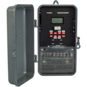 NSI TORK® DZS200BP Astronomic Digital Timer with Season Holiday Memory Module, 2 Channel, 30A