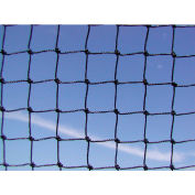 Bird Barrier 3/4" Black StealthNet Standard Duty Bird Netting, 25' x 50' - N1-B120