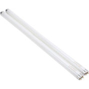 Paraclipse® Terminator Ultraviolet Replacement Lamps, 2/Pack - 72917