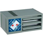Modine Hot Dawg 125000 BTU Separated Combustion Gas Unit Heater HDS125AS111SBAN