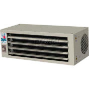 Modine Hot Dawg H2O Low Profile Hot Water Unit Heater HHD45SB01SA, 40000 BTU, 710 CFM, 115V