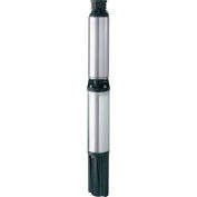 Flotec 2-Wire 4 Inch Submersible Well Pump, 230 Volts 1 HP