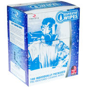 Radians® RW-100 Respirator Cleaning Wipes, 100/Box - Pkg Qty 10