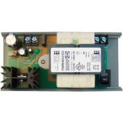 RIB® DC Power Supply PSMN40A24DS, Isolated, Linear, 120VAC To 24VDC, 1A