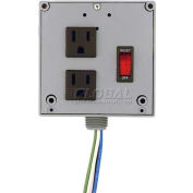 RIB® Enclosed Power Control Center PSPW2RB10, 10A Breaker/Switch, 120VAC, 2 Outlets, Wires