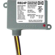 RIB® Enclosed Power Relay RIB24P, 20A, DPDT, 24VAC/DC