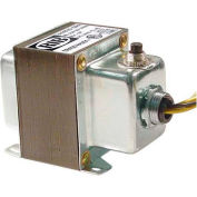 RIB® Transformer TR100VA001, 100VA, 120-24V, Single Hub, Foot Mount, Circuit Breaker