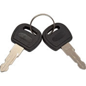 Set of 2 Replacement Keys #037 For Global Industrial™ LCD Monitor Cabinets