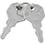 Replacement Keys For Inner Door of Global Industrial™ Narcotics Cabinet 436952, 2pcs Key# 156