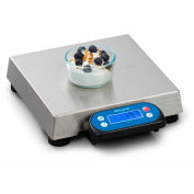 Brecknell 6710U Point of Sale Digital Scale 30lb x 0.01lb, 10" x 10" Platform