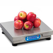 Brecknell 6720U Point of Sale Digital Scale 30lb x 0.01lb With Internal Display, 12&quot; x 14&quot; Platform