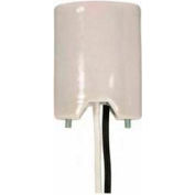 Satco 80-1377 Keyless Glazed Porcelain Mogul Socket w/16-in. 18GA Leads and 2 #8/32 Screws