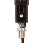 Satco 80-1552 Phenolic Candelabra Socket with 12-1/2-in. Leads 1-11/16-in. Flange