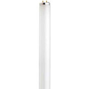 Pkg of 10 ea GE Miniature Lamp Bulb #308