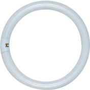 Satco S2954 Fc16t9/Ww/Rs 40w Fluorescent W/ 4 Pin Base - Warm White Bulb - Pkg Qty 12