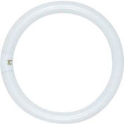 Satco S6502 Fc8t9/Ww/Rs 22w Fluorescent W/ 4 Pin Base - Warm White Bulb - Pkg Qty 12