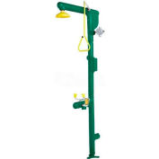 Speakman SE-7000-220V50C Safe-T-Zone® Heat Traced Series Combination Station