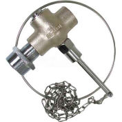 Speakman Self-Closing Replacement Valve W/Chain & Ring, SE-900-CR, 1" Female Inlet, 1/2" Male Outlet