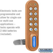 Electronic Lock 11190 - for Solid Oak Executive Wood Locker Door, Gold