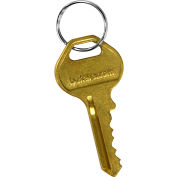 Salsbury Master Control Key 22216 for Built-In Key Lock of Extra Wide Designer Wood Locker Gold