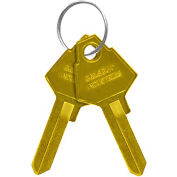 Salsbury Key Blanks 22229 for Key Padlocks of Extra Wide Designer Lockers - Box of (50) Gold