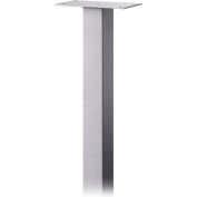 Standard Pedestal 4385SLV - In-Ground Mounted, for Roadside Mailbox, Package Drop, Silver