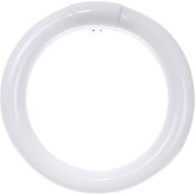 Sunlite® 05015-SU FC8T9/CW 22W Fluorescent T9 Circline Bulb, 4-Pin, Cool White, Pkg. Qty- 12 - Pkg Qty 12