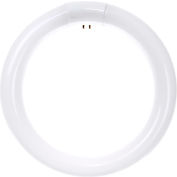 Sunlite® 05038-SU FCL30/50K 30W Fluorescent T9 Circline Bulb, 4-Pin, Super White, Pkg. Qty- 12