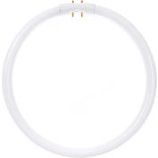 Sunlite® 05810-SU FC22T5/SP841 22W Fluorescent T5 Circline Bulb, 2GX13, Cool White