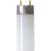 Sunlite® 30115-SU F17T8/SP835 17W Fluorescent T8 Bulb, Medium Bi-Pin, Neutral White - Pkg Qty 30
