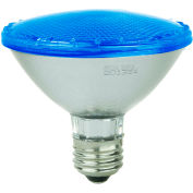 Sunlite 80021-SU PAR30/LED/4W/B 4W PAR30 Colored Reflector, Medium Base Bulb, Blue - Pkg Qty 12