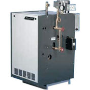 Slant-Fin Steam Gas Boiler GXHA100EDPZ - 100000 BTU | B306669 ...