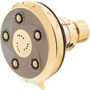 Speakman Anystream® Napa 5-Jet Shower Head, Polished Brass Finish, 2.5 GPM