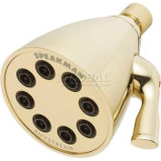 Speakman Anystream® Icon 8-Jet Shower Head, Polished Brass Finish, 2.5 GPM