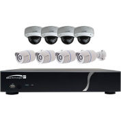 Speco ZIPT8BD2 8-Channel HD-TVI DVR and 4 Bullet Cameras + 4 Dome Cameras Kit, 2TB