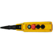 T.E.R., F70AY12020000001 MIKE Pendant, 4 Button, Yellow, 1-Speed Buttons