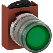 ABB Illuminated Push Button Operator, 22mm, Green, Flush Style