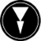 T.E.R., PRTA012MPI Two Speed Arrow Black Button Insert, Use w/ MIKE & VICTOR Pendants