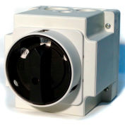 Springer Controls/MERZ W151/3-I2-DA,20A,3-POLE,Encl. Reversing Switch,Maintained Lockable Handle