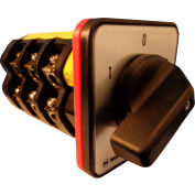 Springer Controls / MERZ Z756/6-AC, Change-Over Switch No Zero Pos., 3-Pole, 100A,4-hole front-mount
