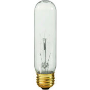 Shat-R-Shield 01047SAT Safety-Coated Incandescent Bulb, 40t10/Cl 130v - Pkg Qty 6