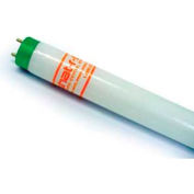 Shat-R-Shield 46888s Safety-Coated Fluorescent Bulb, F32t8 865/Xp/Eco - Pkg Qty 30