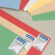 Rainbow Pak® Thermoplastic Cutting Boards (6 per Pack) - 12" x 18" x 1/2"