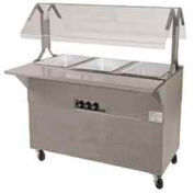 Portable Buffet Table, Electric, (2) 12" x 20" S/S Wells, 120V, Solid Base